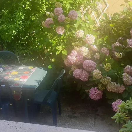 Verahouse * Βιαρέτζιο