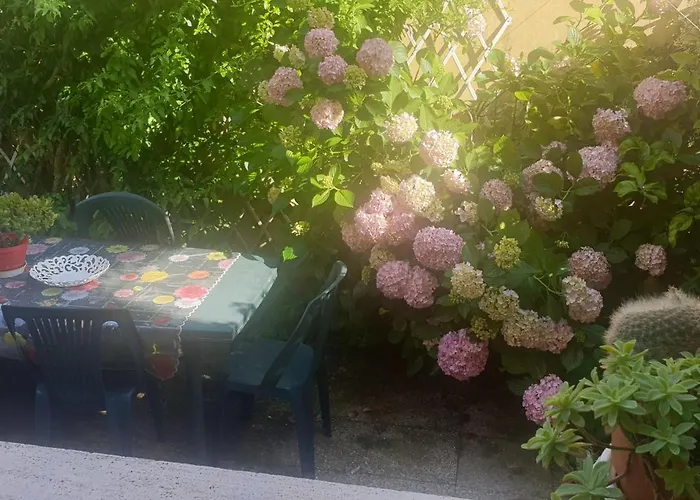 Verahouse * Viareggio